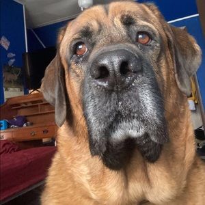 Meet your Posher, Wayne